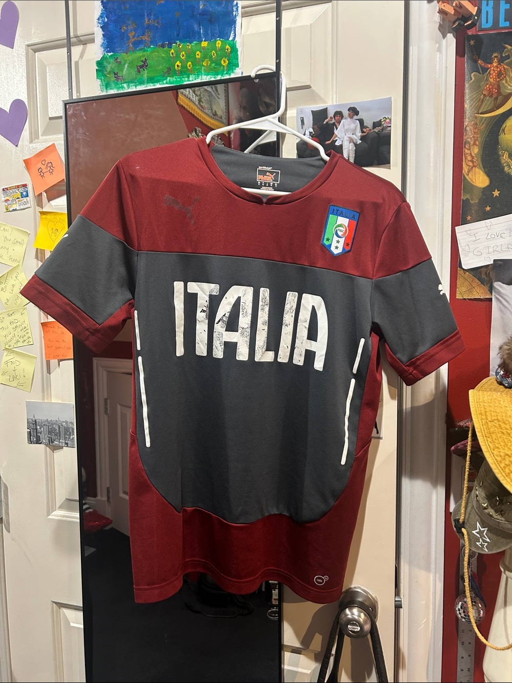 Puma Italia Men's Maroon and gray Soccer Jersey